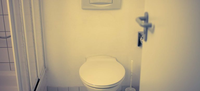 トイレの重要性と進化を考える トイレの重要性と進化を考える