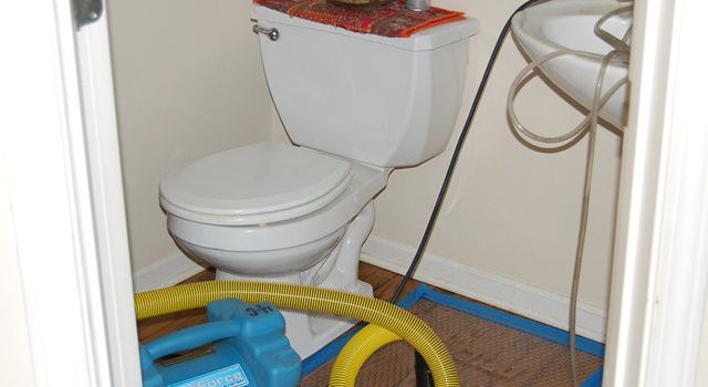 トイレの排水トラブルと現代の衛生空間を守るための暮らしの知恵