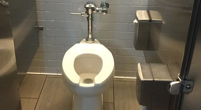 トイレの進化と快適な水回り空間を守るための知識と日常ケアの重要性 トイレの進化と快適な水回り空間を守るための知識と日常ケアの重要性